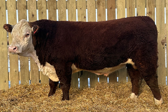 Rawcliffe Grange Stock Farm