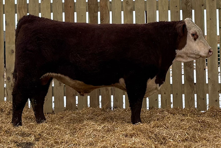 Rawcliffe Grange Stock Farm