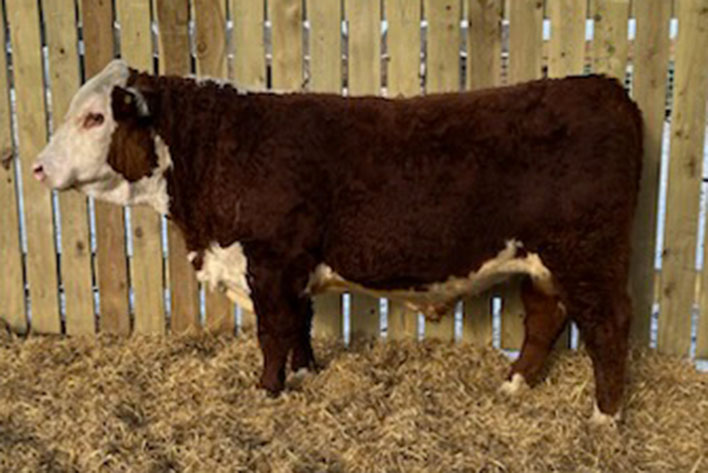 Rawcliffe Grange Stock Farm