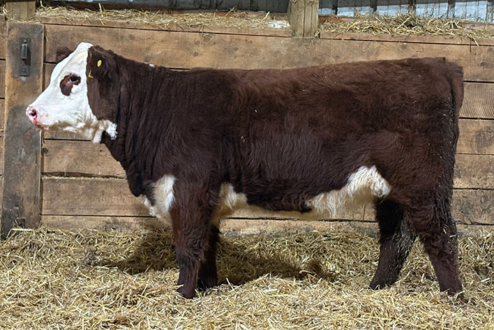 Rawcliffe Grange Stock Farm